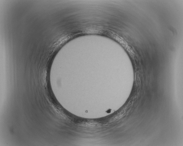 X0000115340201200912141247