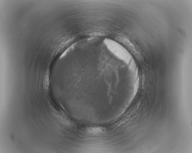 X0000115340202200912141247