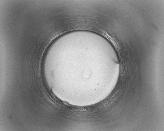 X0000115340203200912141246