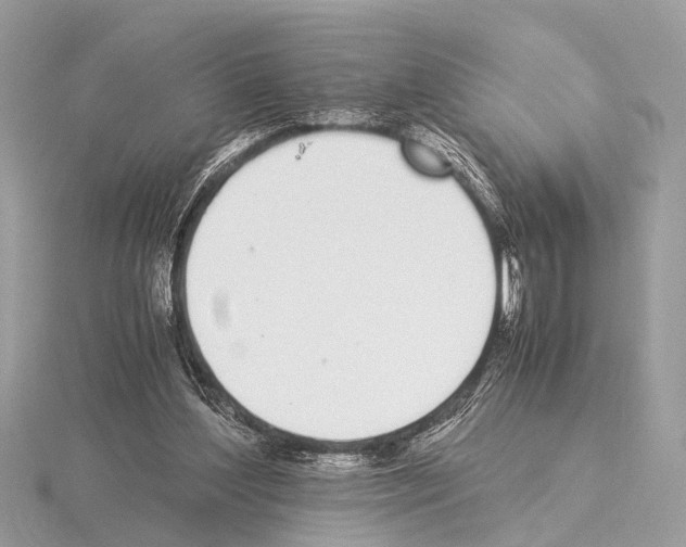 X0000115340204200912141246