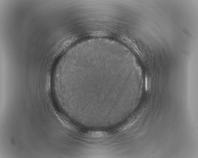 X0000115340205200912141246