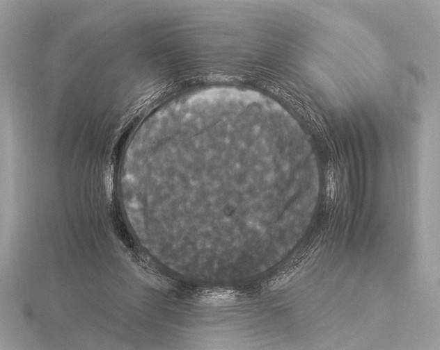 X0000115340206200912141246