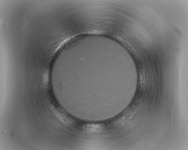 X0000115340208200912141246