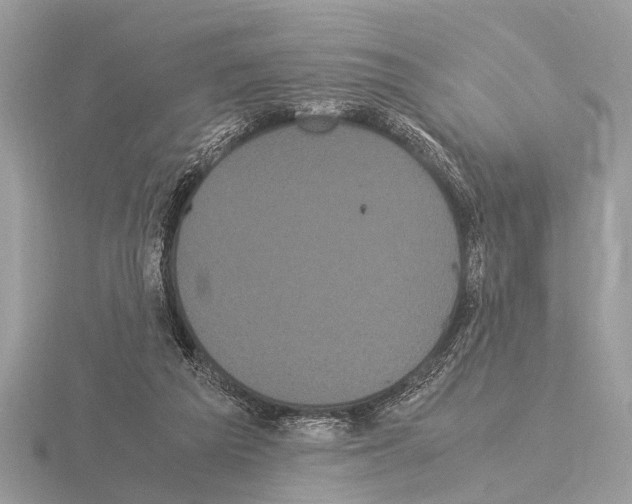 X0000115340209200912141246