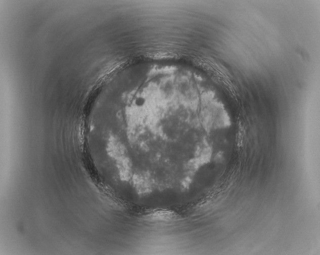 X0000115340210200912141246