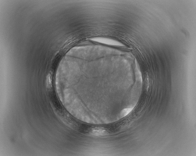 X0000115340214200912141246