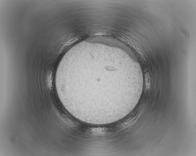 X0000115340216200912141246