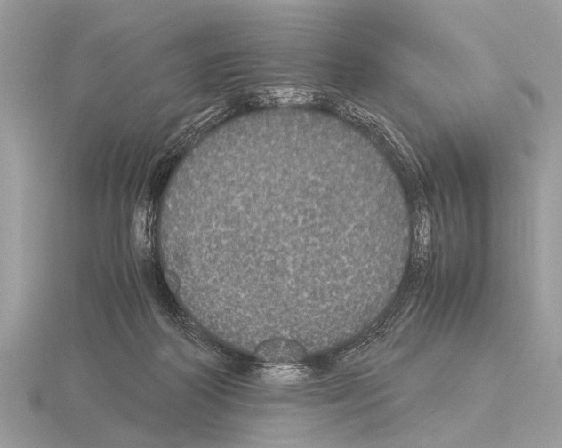 X0000115340218200912141246