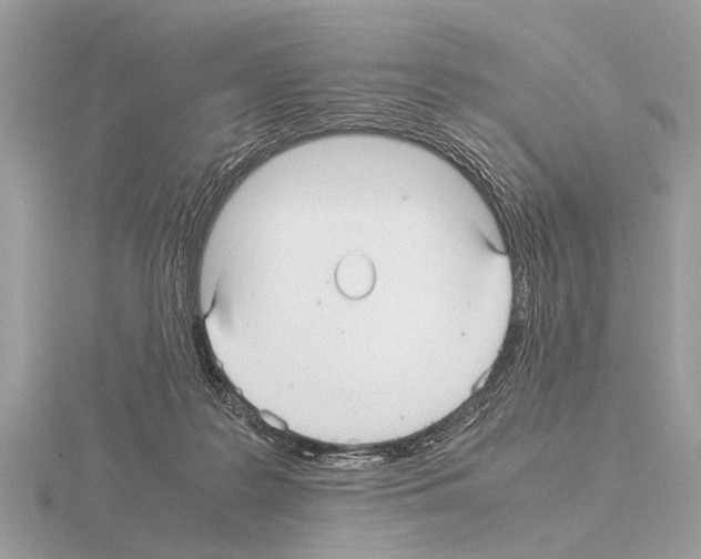 X0000115340219200912141246