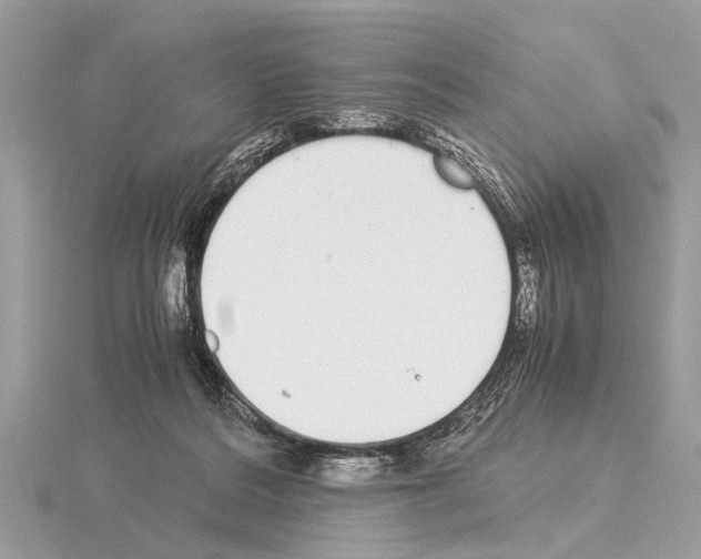 X0000115340220200912141246