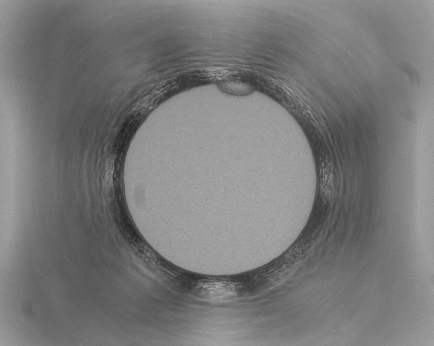 X0000115340221200912141246