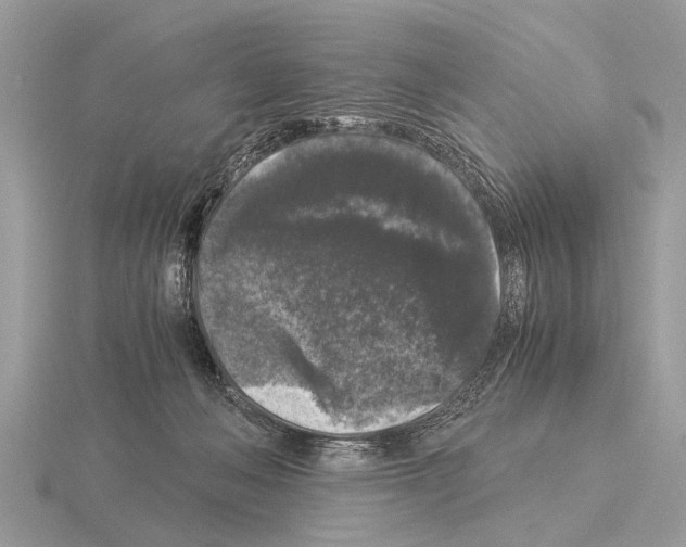 X0000115340222200912141246