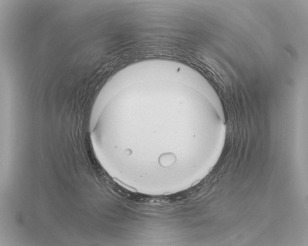 X0000115340223200912141246