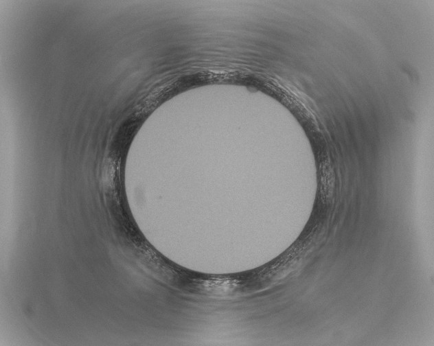 X0000115340225200912141246