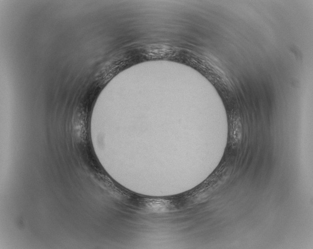 X0000115340226200912141246