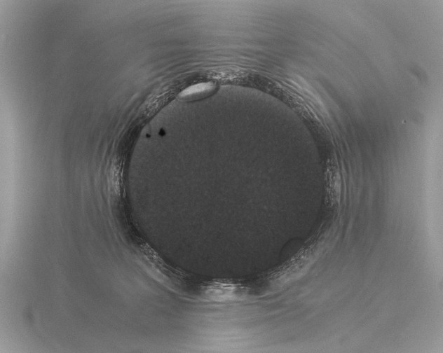 X0000115340227200912141246