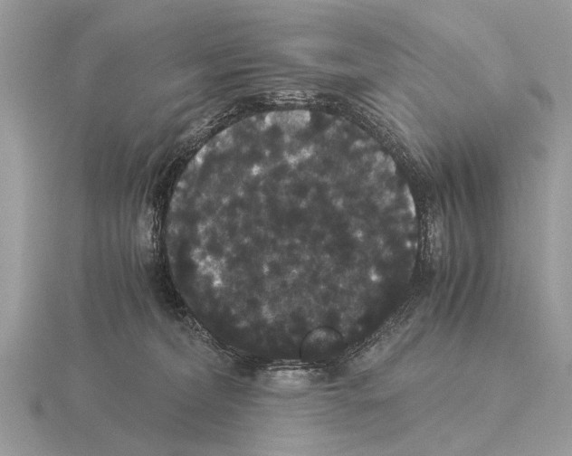 X0000115340228200912141246