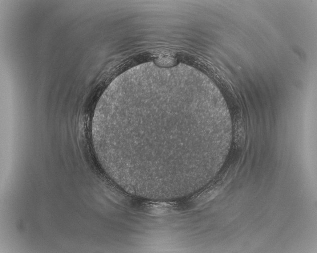 X0000115340229200912141246