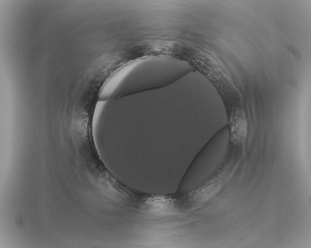 X0000115340231200912141246