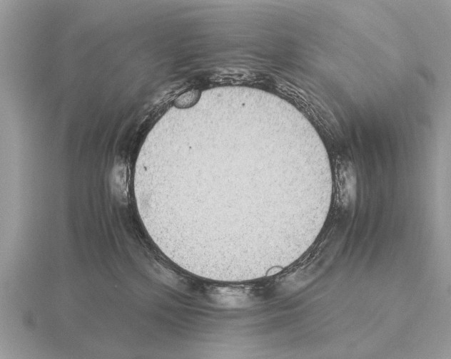 X0000115340232200912141246