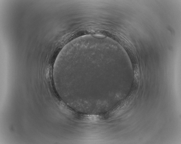 X0000115340233200912141246