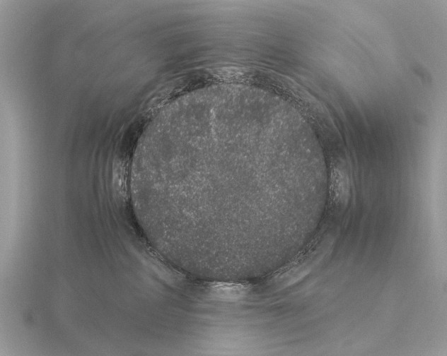 X0000115340234200912141246