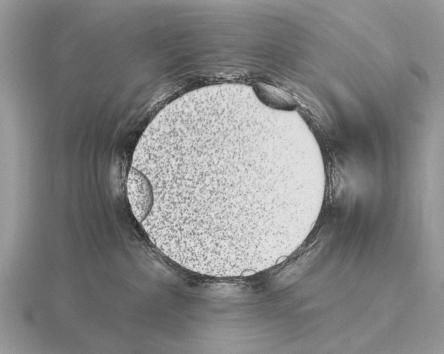 X0000115340236200912141246