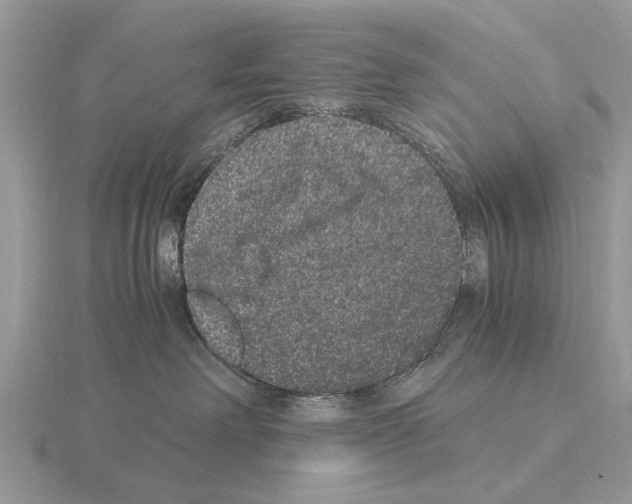 X0000115340238200912141246