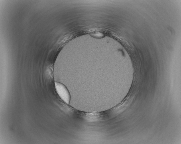 X0000115340240200912141246