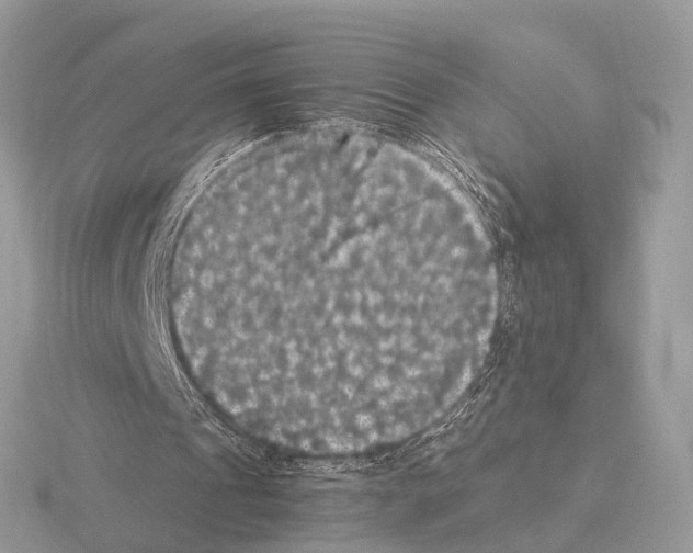 X0000115340241200912141245