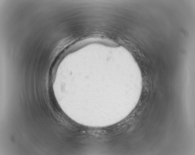 X0000115340242200912141245