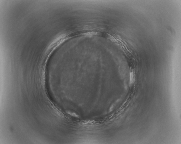 X0000115340243200912141245