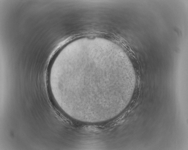 X0000115340244200912141245