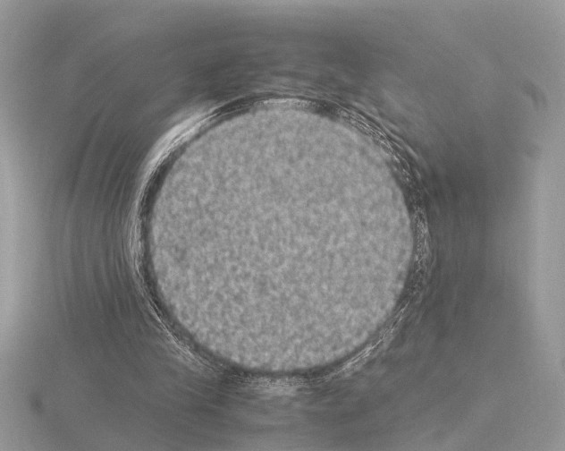 X0000115340245200912141245