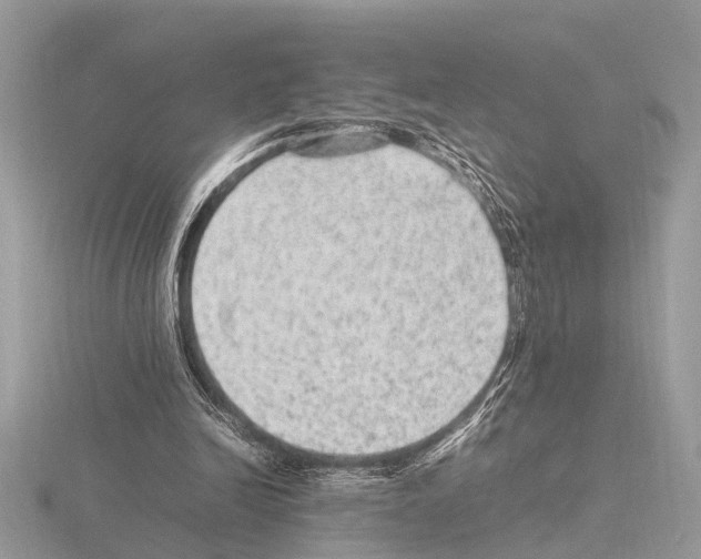 X0000115340246200912141245