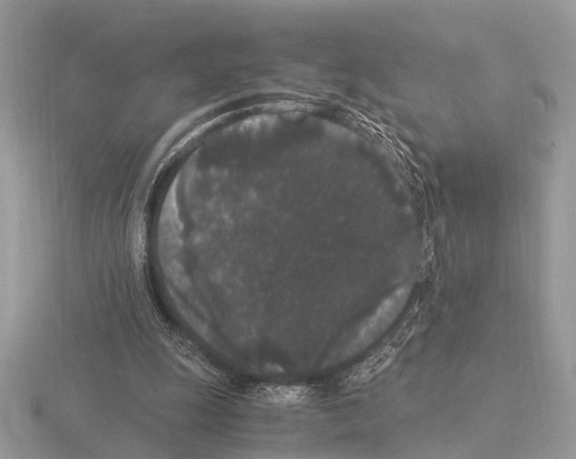 X0000115340247200912141245