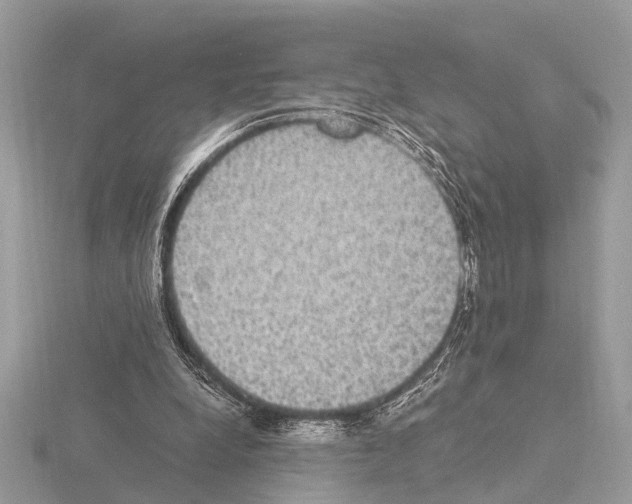 X0000115340248200912141245