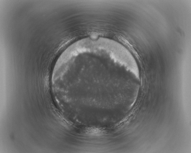 X0000115340249200912141246