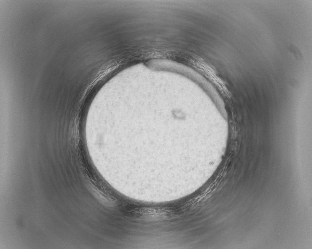 X0000115340250200912141246