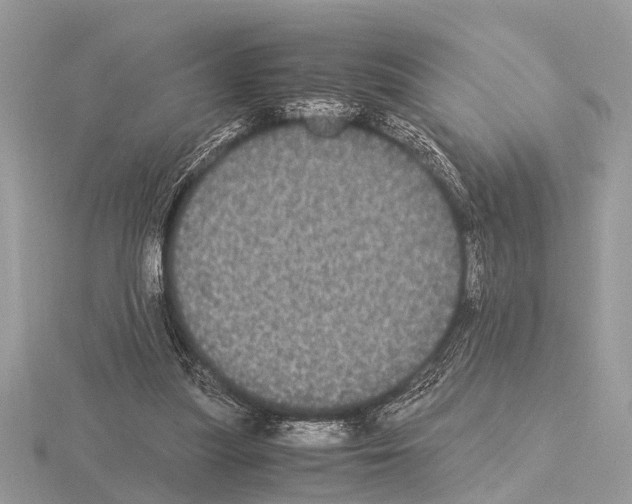 X0000115340251200912141246