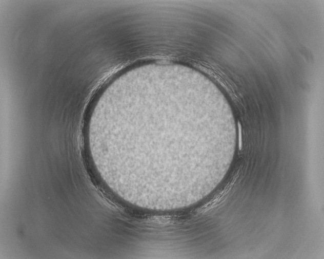 X0000115340252200912141246