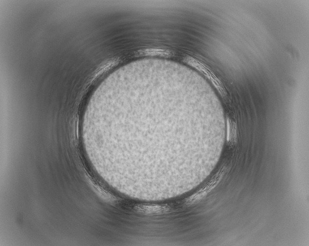 X0000115340253200912141246