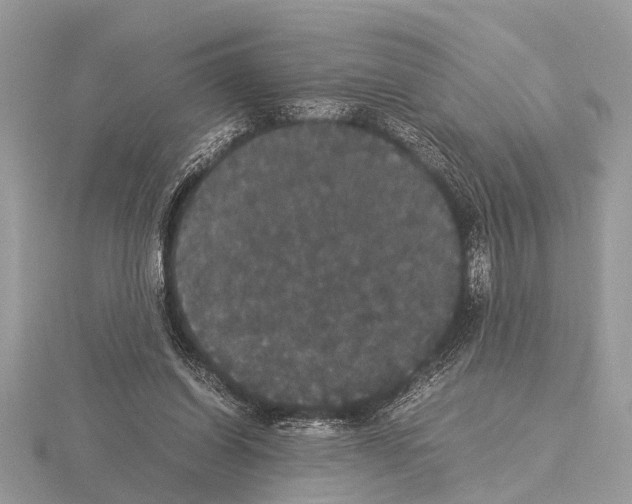 X0000115340254200912141246