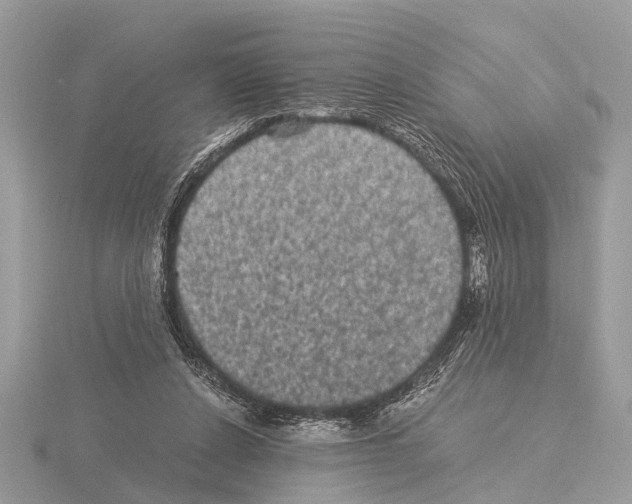 X0000115340256200912141246