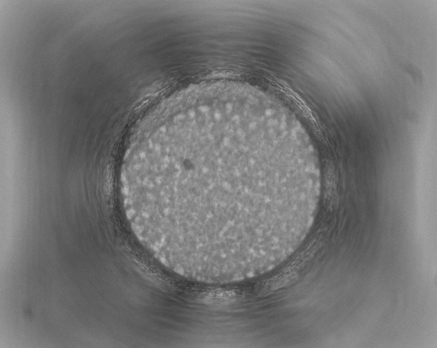 X0000115340257200912141246