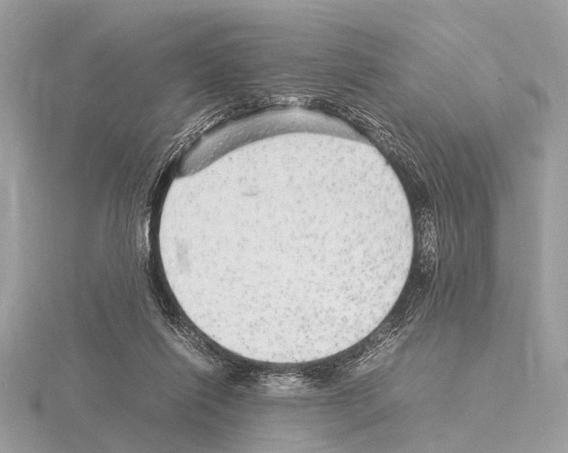 X0000115340262200912141246