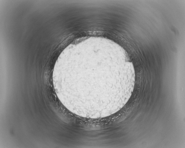 X0000115340263200912141246