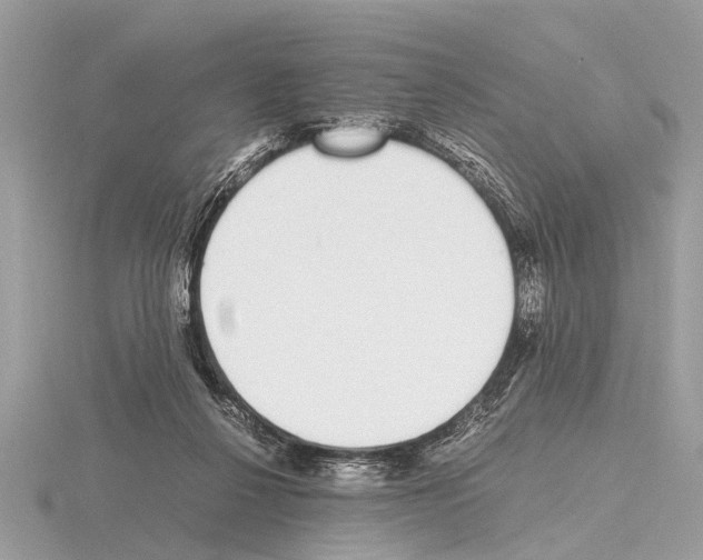 X0000115340264200912141246