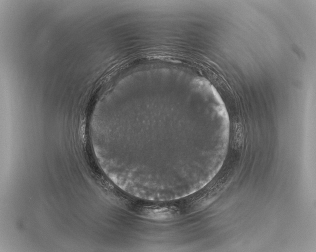 X0000115340267200912141246