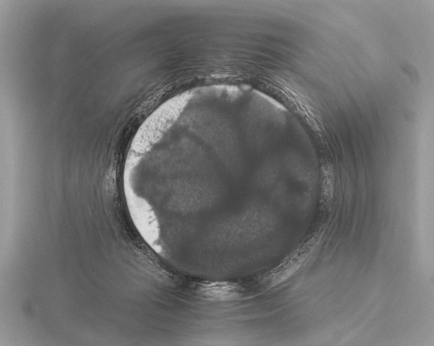 X0000115340269200912141246